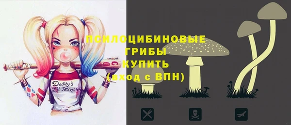 spice Баксан