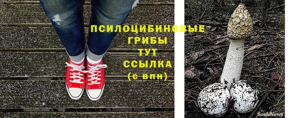 spice Баксан