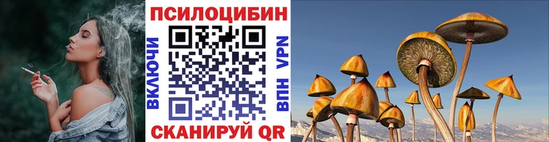 Купить  Шацк  Галлюциногенные грибы Cubensis 
