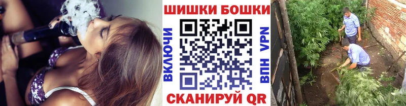 Шишки марихуана семена  Купить где  Шацк 